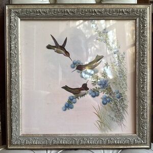 Silver Framed Hummingbird Art